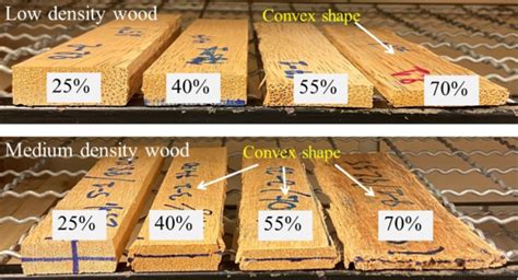 compression test of wood conclusion|Mechanical properties of compressed wood .